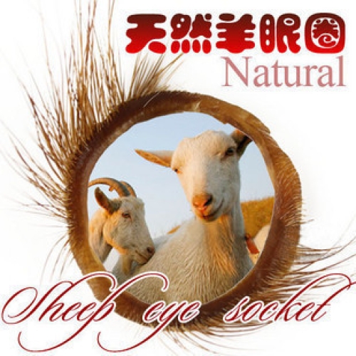 陰莖套環(huán)--羊眼圈鎖精環(huán)計生夫妻情趣環(huán)套環(huán)