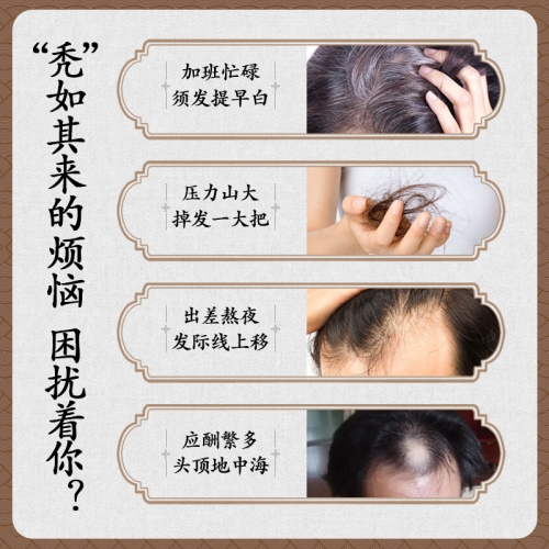 延時(shí)助立-金龍碾-【內(nèi)調(diào)】李時(shí)珍 金龍碾六脈固源丹 小粒裝